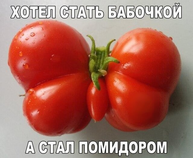 Смешные картинки из социальных сетей