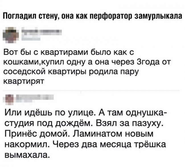 Смешные комментарии из социальных сетей