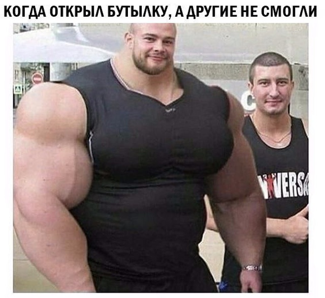 Прикольные картинки и фото. Утренняя подборка