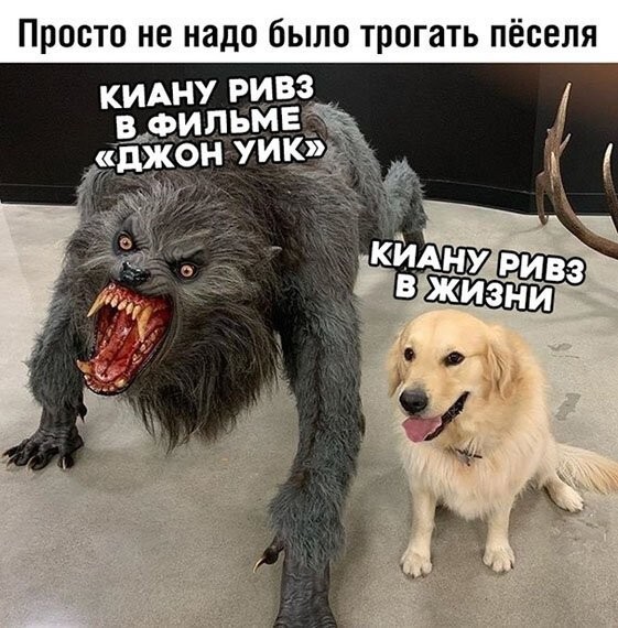 Смешные картинки из социальных сетей
