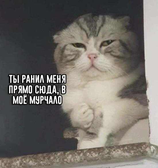 Смешные картинки из социальных сетей