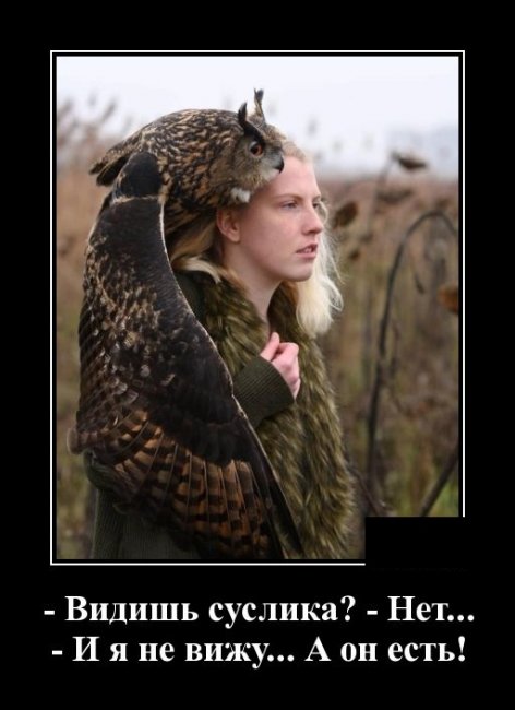 Свежие Демотиваторы на сегодня