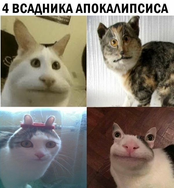 Смешные картинки из социальных сетей