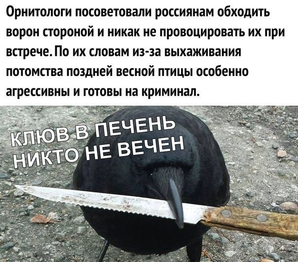 Смешные картинки из социальных сетей