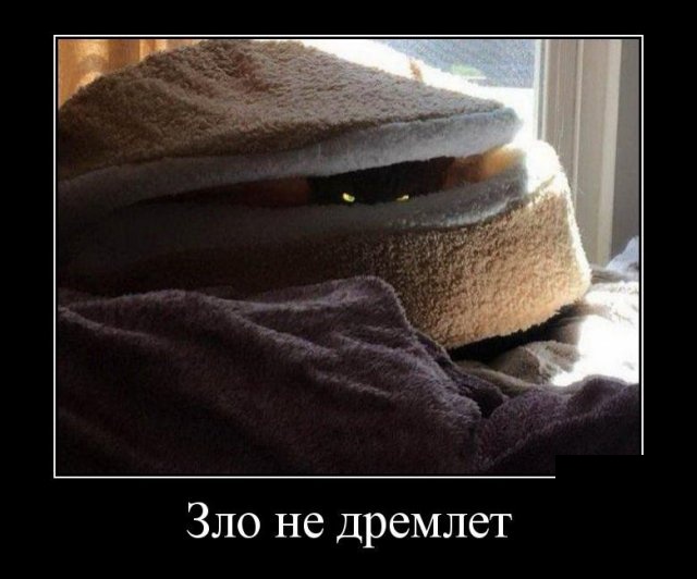 Свежие Демотиваторы на сегодня