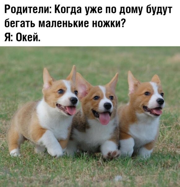 Смешные картинки из социальных сетей