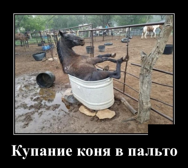 Свежие Демотиваторы на сегодня