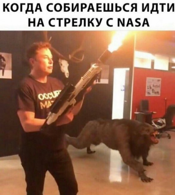 Смешные картинки из социальных сетей