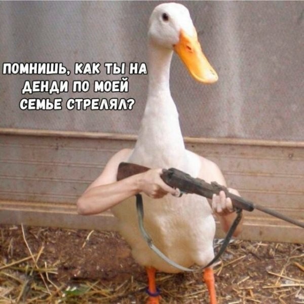 Смешные картинки из социальных сетей