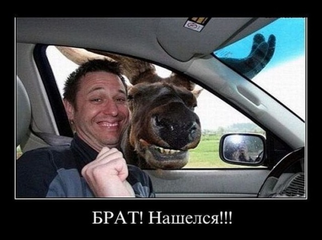 Свежие Демотиваторы на сегодня
