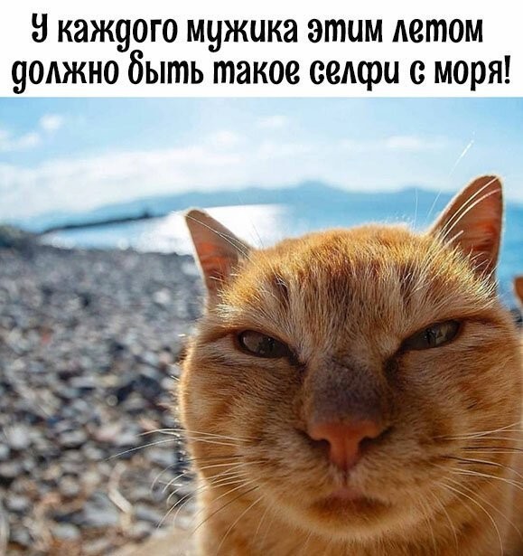 Смешные картинки из социальных сетей
