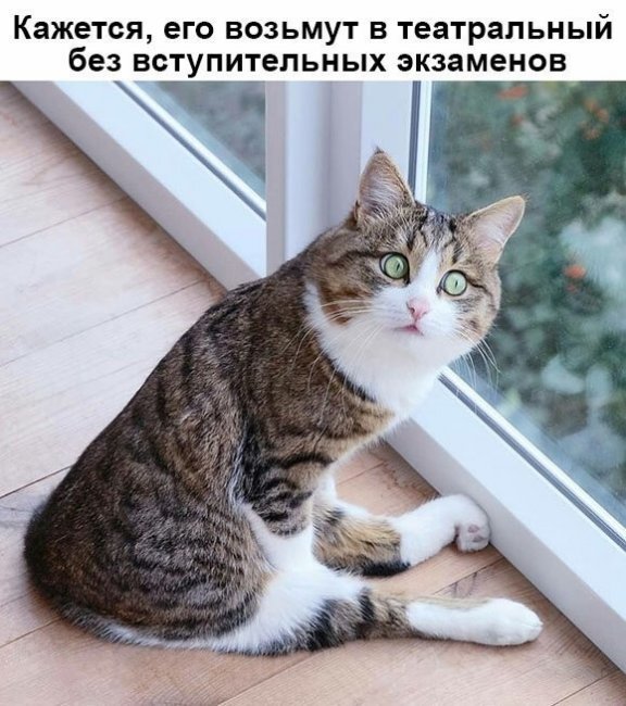 Смешные картинки из социальных сетей