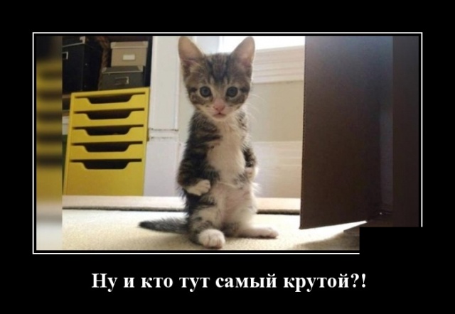 Свежие Демотиваторы на сегодня