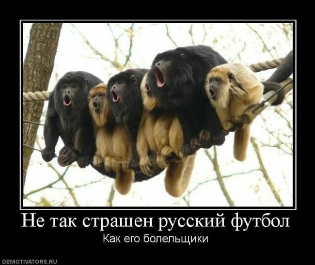 Свежие Демотиваторы на сегодня