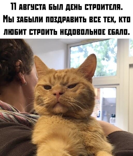 Смешные картинки из социальных сетей