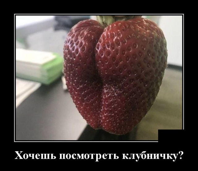 Свежие Демотиваторы на сегодня