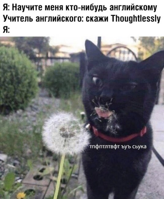 Прикольные картинки и фото.