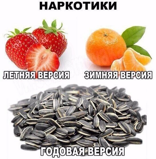 Смешные картинки из социальных сетей