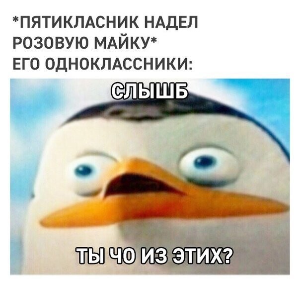 Смешные картинки из социальных сетей