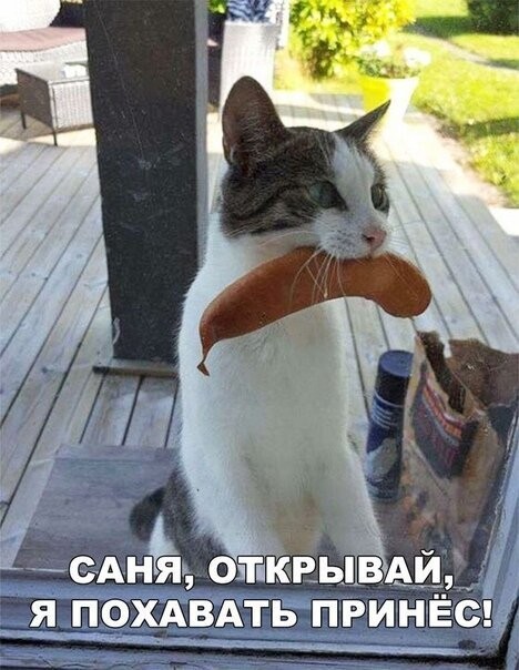 Смешные картинки из социальных сетей