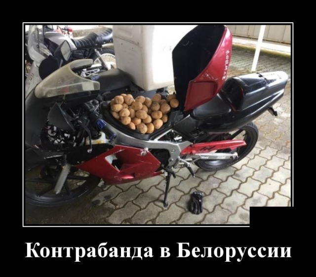 Свежие Демотиваторы на сегодня