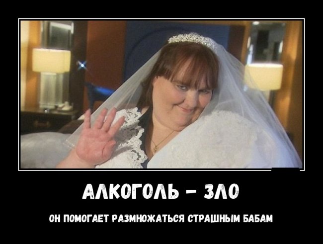 Свежие Демотиваторы на сегодня