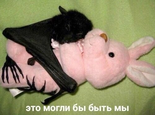 Смешные картинки из социальных сетей