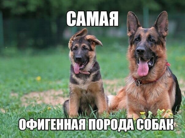 Смешные картинки из социальных сетей