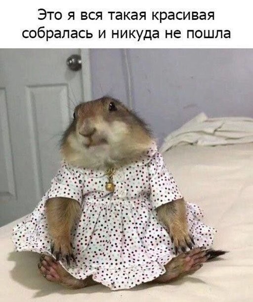 Смешные картинки из социальных сетей