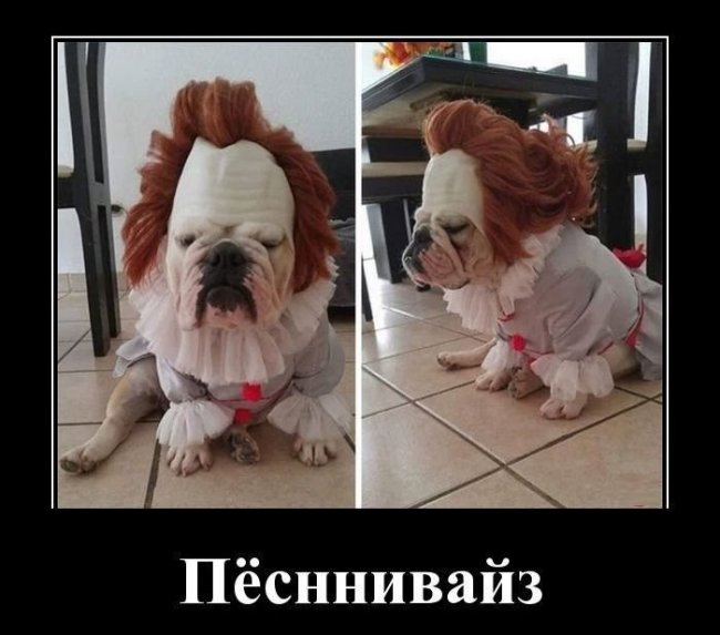 Свежие Демотиваторы на сегодня