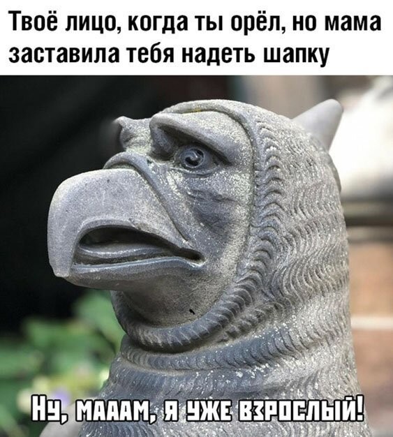 Смешные картинки из социальных сетей