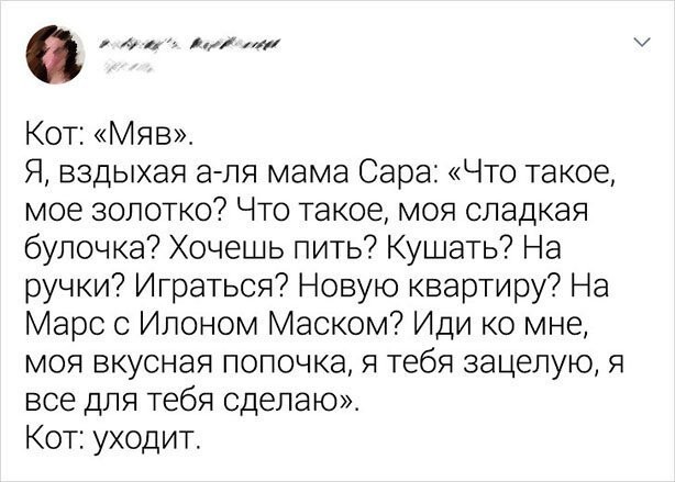 Смешные комментарии из социальных сетей