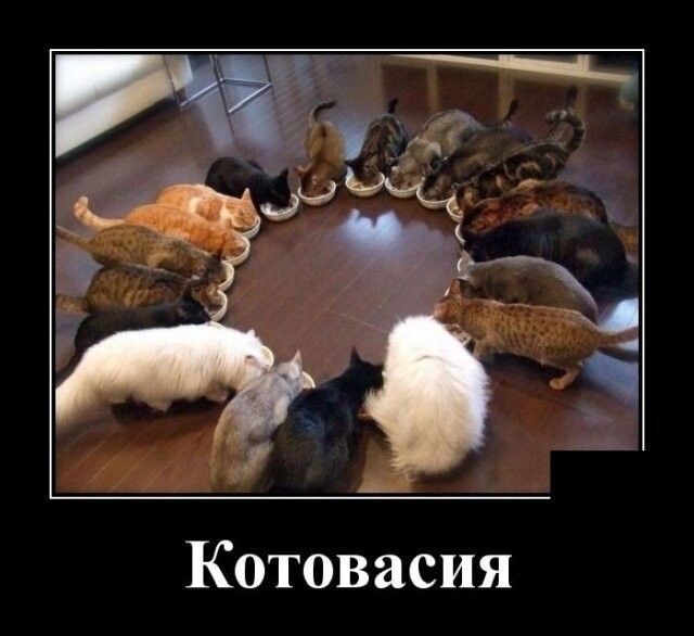 Свежие Демотиваторы на сегодня