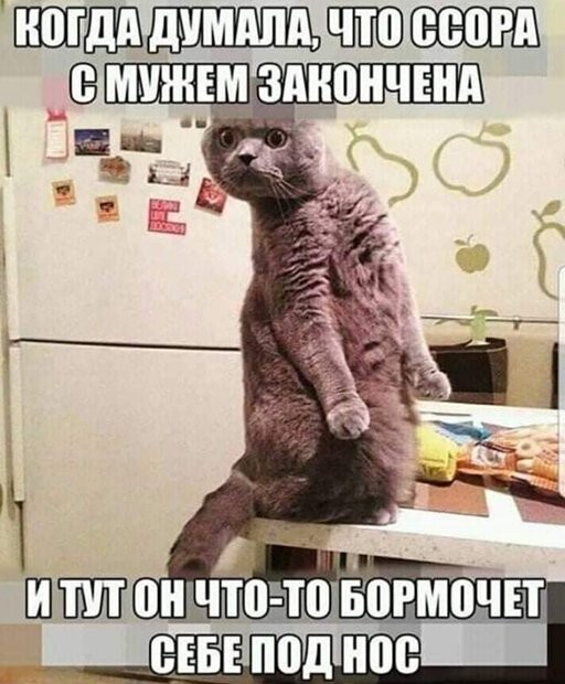 Смешные картинки из социальных сетей