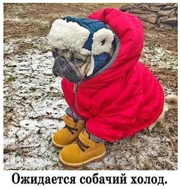 Смешные картинки из социальных сетей