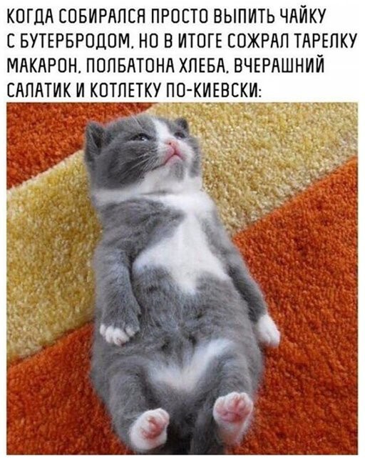 Смешные картинки из социальных сетей