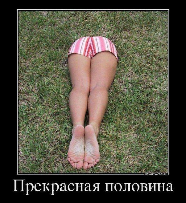 Свежие Демотиваторы на сегодня
