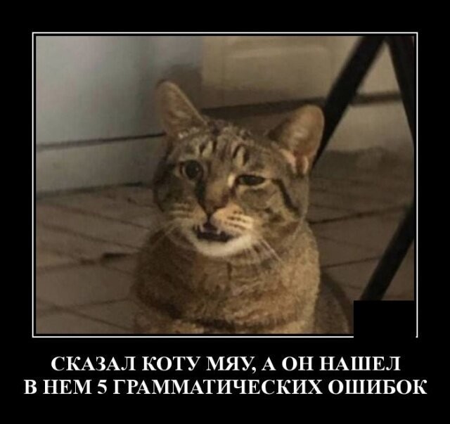 Свежие Демотиваторы на сегодня