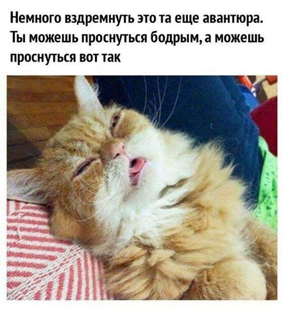 Смешные картинки из социальных сетей