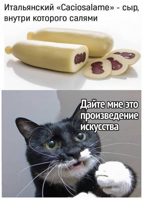 Смешные картинки из социальных сетей