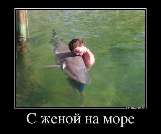 Свежие Демотиваторы на сегодня
