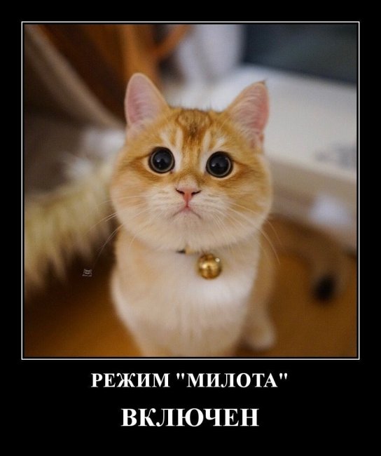 Свежие Демотиваторы на сегодня