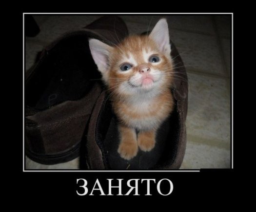 Свежие Демотиваторы на сегодня