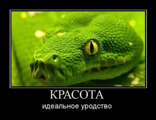 Свежие Демотиваторы на сегодня