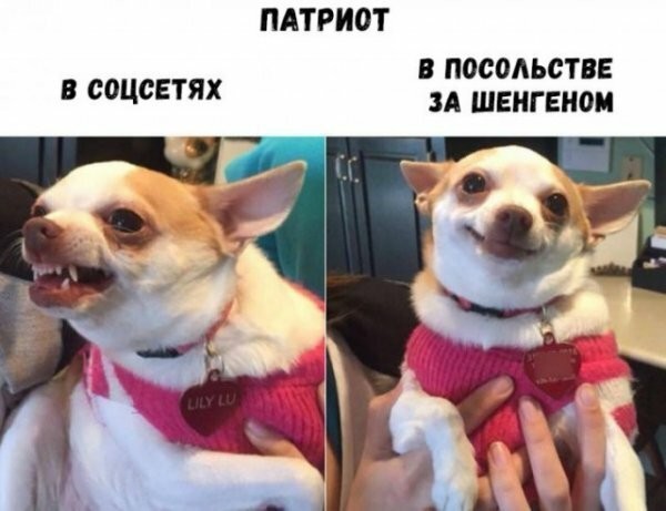 Смешные картинки из социальных сетей