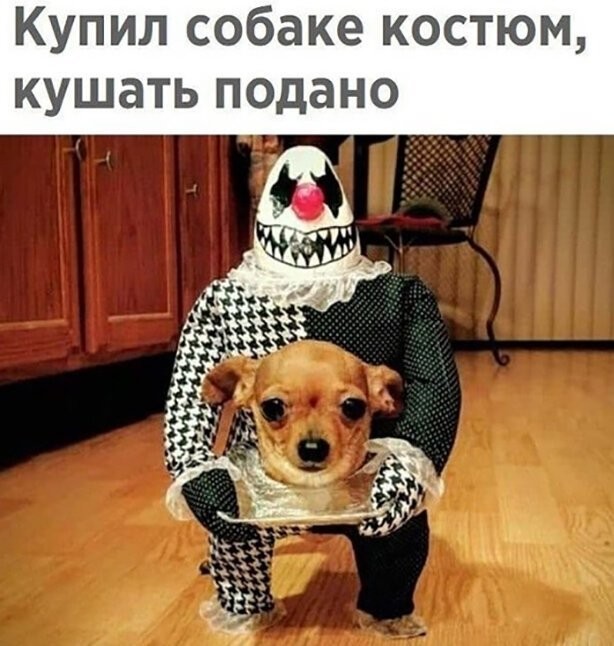 Смешные картинки из социальных сетей