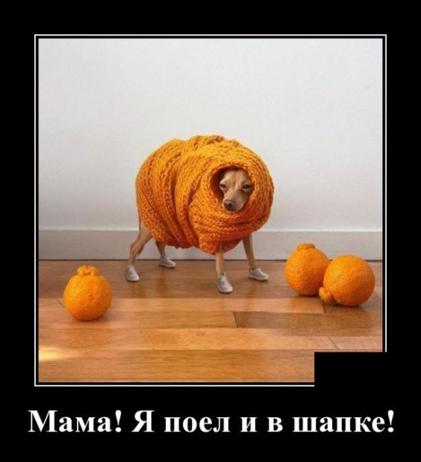Свежие Демотиваторы на сегодня