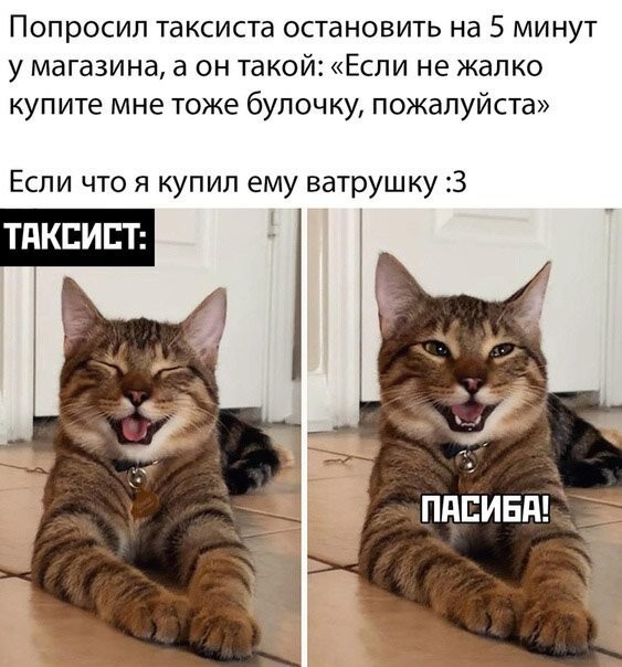 Смешные картинки из социальных сетей