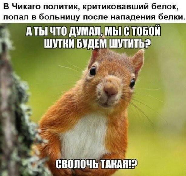 Смешные картинки из социальных сетей