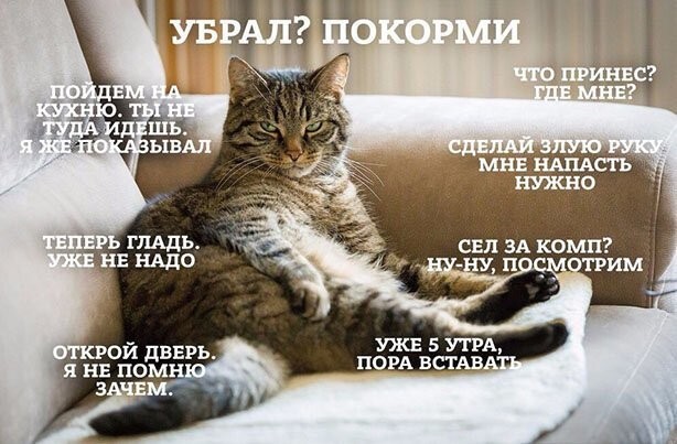 Смешные картинки из социальных сетей